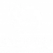 Adventure Vault
